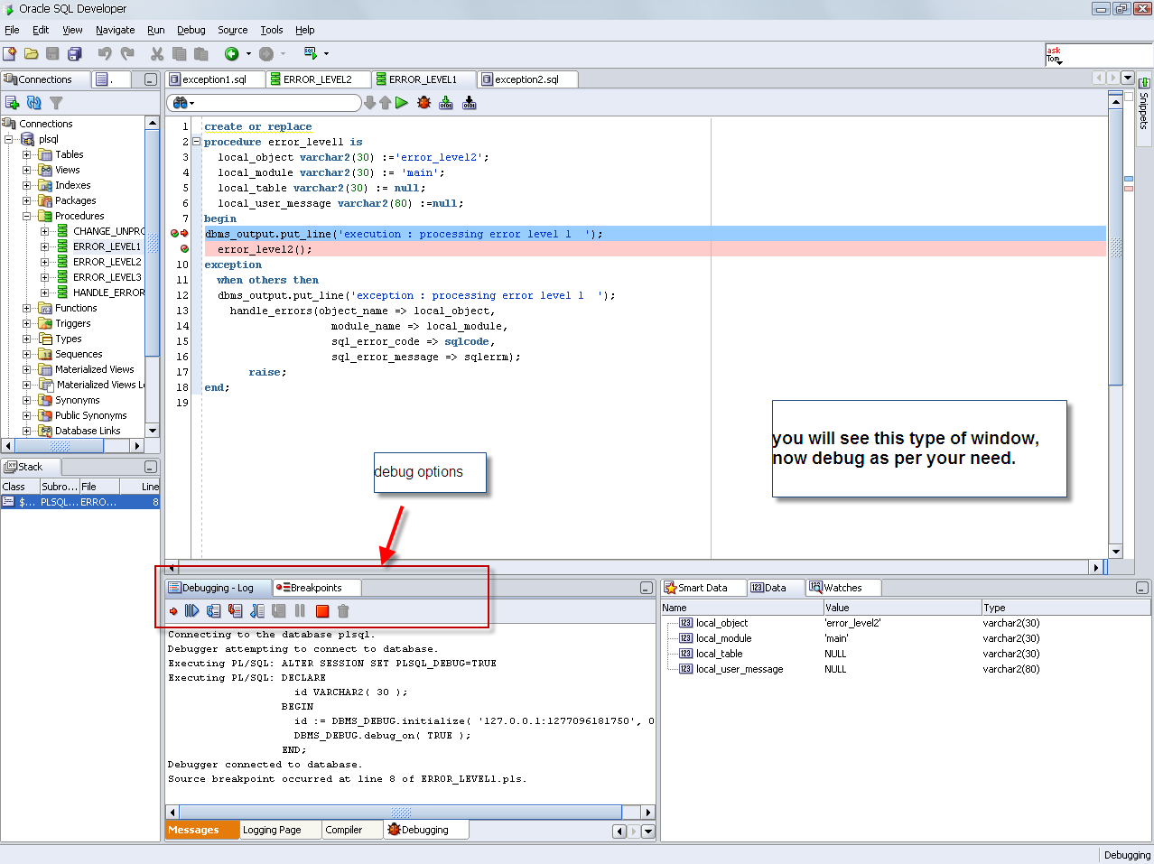 anonymous block completed in oracle sql developer